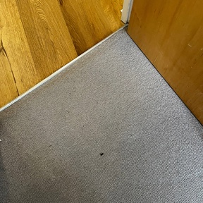 Deep Cleaning Ambleside